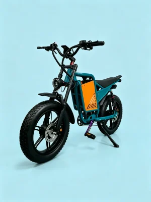WATTSMAX D4 Electric Dirt Bike