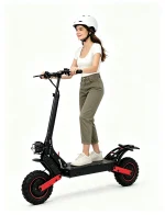 WATTSMAX S9 Electric Scooter