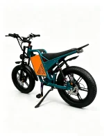 WATTSMAX D4 Electric Dirt Bike