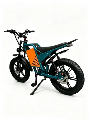 electric dirt bike-wattsmax-D4