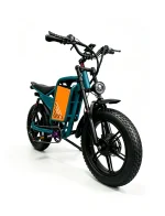 WATTSMAX D4 Electric Dirt Bike