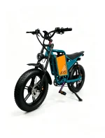 WATTSMAX D4 Electric Dirt Bike
