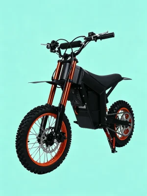 WATTSMAX D1 Electric Dirt Bike