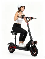800W Aluminum Alloy Off-Road Electric Scooter, 45KM/H Foldable E-Scooter 48V 10/13AH
