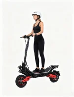 WATTSMAX S12 Electric Scooter