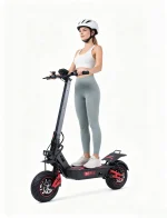 WATTSMAX S10 Electric Scooter