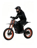 3000W 55KM/H Off-Road Electric Motorcycle 48V 30AH High Torque Dirt Bike