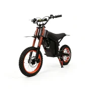 Electric Dirt Bike