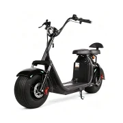 Harley Electric Bike